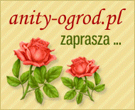 rośliny ogrodowe, kwiaty, nasiona